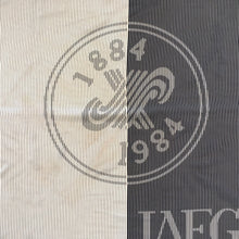 Load image into Gallery viewer, Vintage Large Silk Cream/Black Striped Jaeger 100 Year Anniversary Scarf 1884-1984-Scarves-Brand Spanking Vintage
